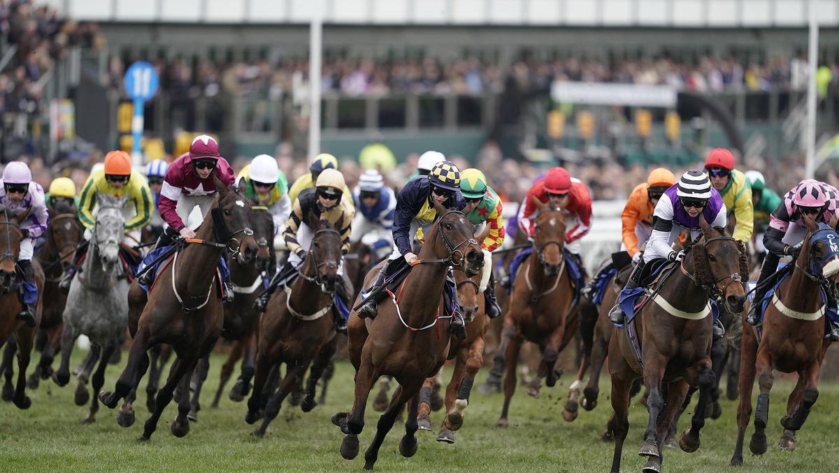 Paddy Power Cheltenham Competition