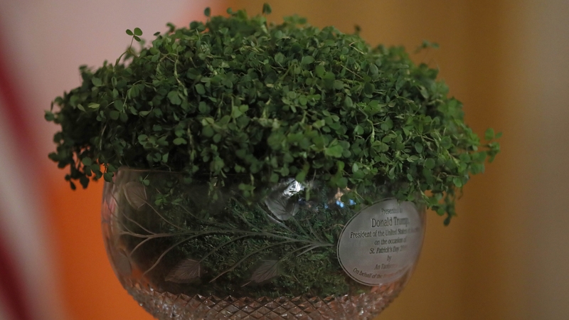 Taoiseach Micheál Martin is not travelling to the US for St Patrick's Day to present the US President with the traditional bowl of shamrock