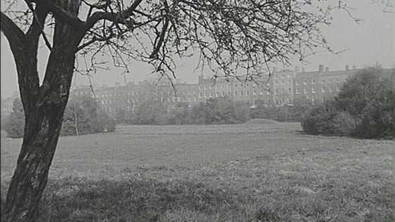 Merrion Square