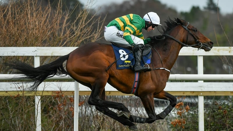 Joseph's O'Brien's Sir Erec was put out of his suffering after sustaining a leg injury in running during the Triumph Hurdle