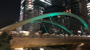 Butterfly Bridge in Austin, Texas (Photo courtesy of Tourism Ireland)