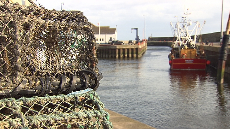 EU co-funding for Ireland's European Maritime and Fisheries Fund Operational Programme was suspended