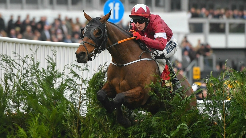 Tiger Roll underwent a procedure to remove a chip in a joint earlier this month