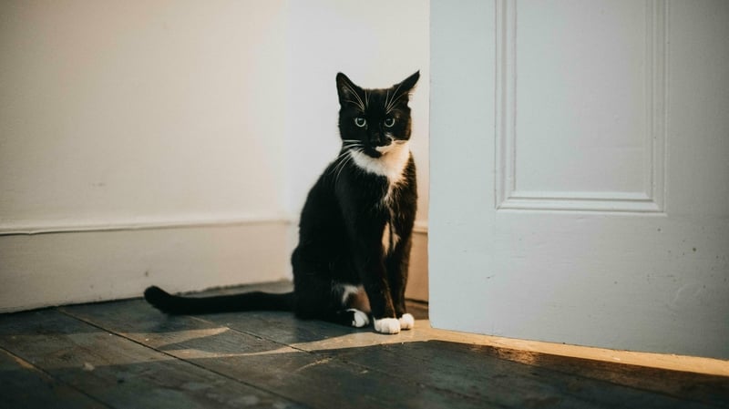 French Europe Minister Nathalie Loiseau says a sense of humour is necessary when dealing with Brexit