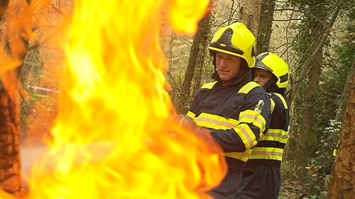 400 hectares of forest were lost to wild fires last year