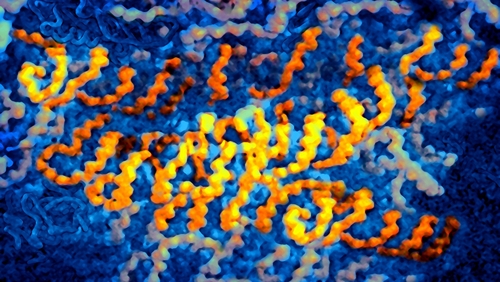 Pain geneticists found two notable gene mutations