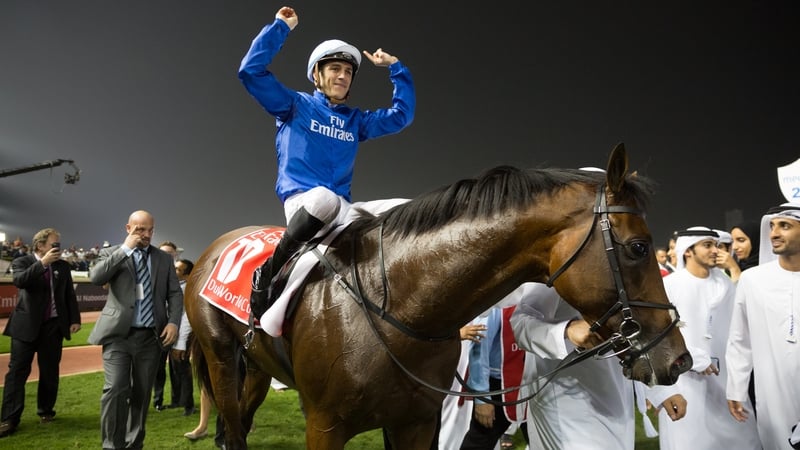 Thunder Snow won the 2019 edition at Meydan Racecourse