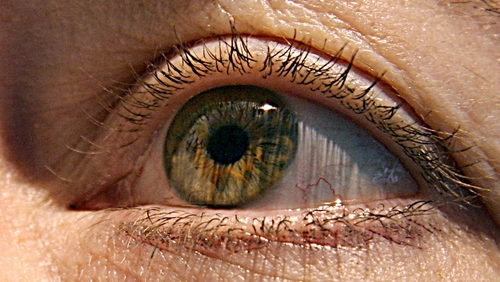 The study's findings offer a basis for the development of new treatments
