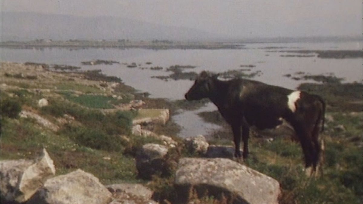 Bridie Uí Chámha, as Inis Treabhair & Rosmuc