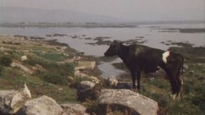 Bridie Uí Chámha, as Inis Treabhair & Rosmuc show image