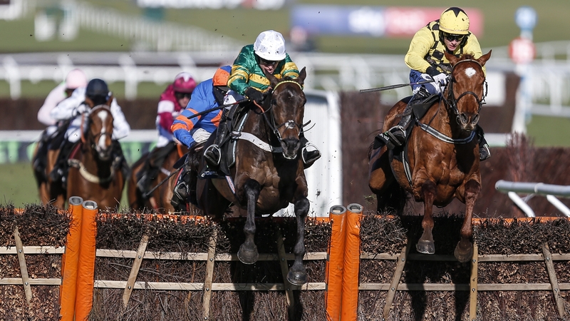 Buveur D'Air (L) beat Melon (R) at Cheltenham a year ago