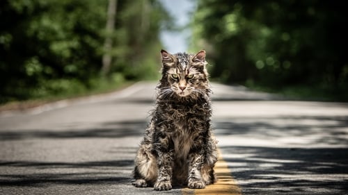 Feline freaky?