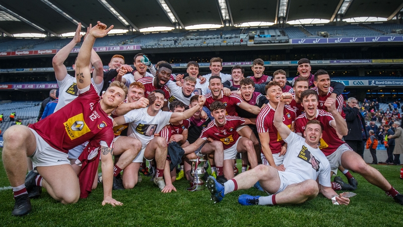 Westmeath celebrate