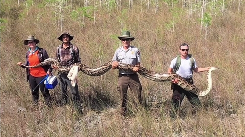 Courtesy: Big Cypress National Preserve, US National Park Service