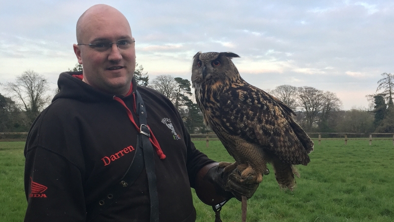 Tank has been reunited with his owner Darren Jackson