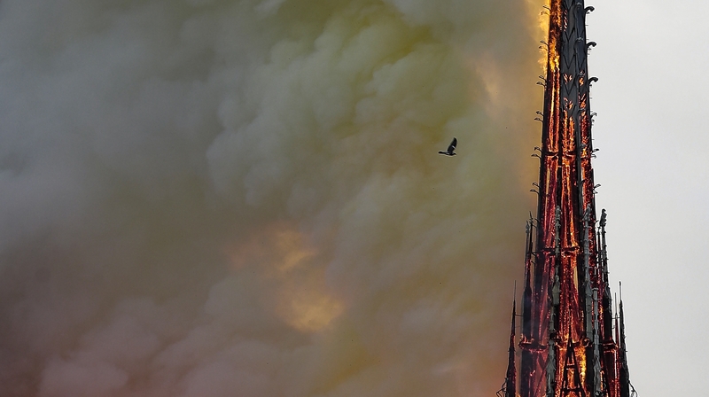 The rooster was buried in debris after the spire collapsed