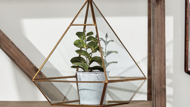 Pyramid terrarium, €38.60, Melodymaison.co.uk