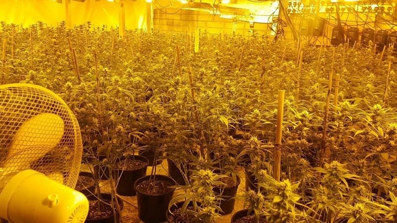 The two men, aged 32 and 43 were arrested at the scene