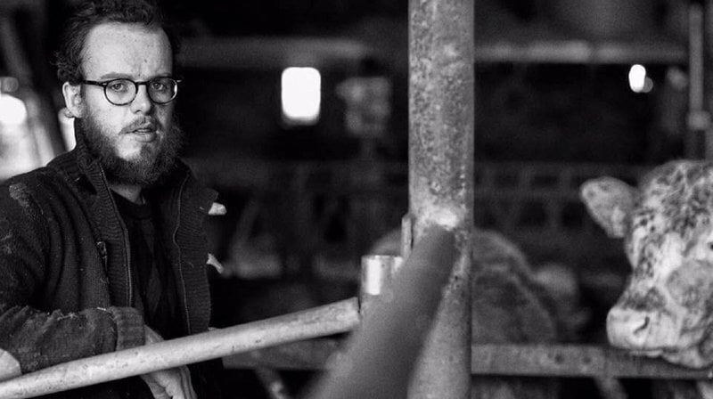 Holy cow - John Connell's Cow Book is now out in paperback