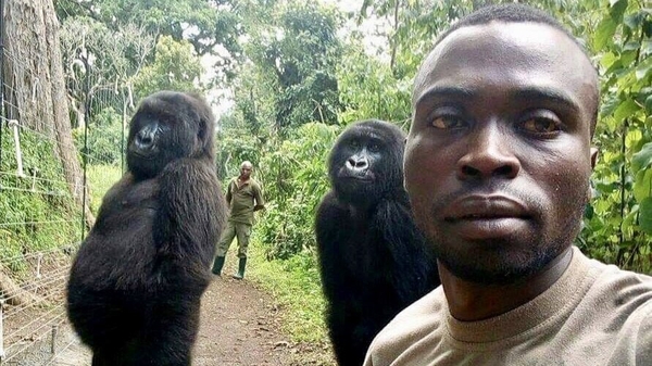 Courtesy: Virunga National Park in eastern Congo