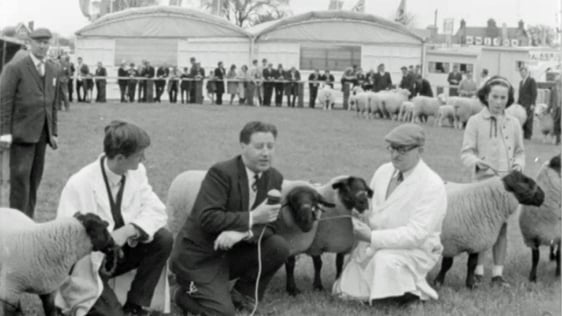 Spring Show (1964)