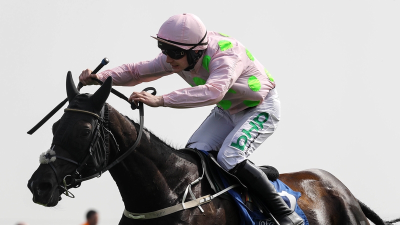 Paul Townend getting a tune out of Camelia De Cotte