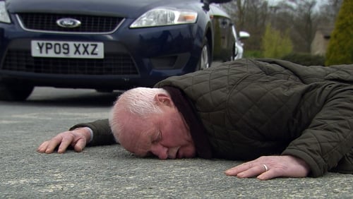 Megan is horrified when she knocks over Pollard on Emmerdale
