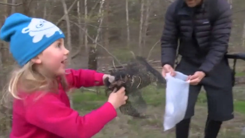 The word plogging is a mix of jogging and 'plocka upp' which means picking up in Swedish