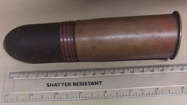 The shell was stored in a vintage trunk that was bought at a jumble sale in 1984