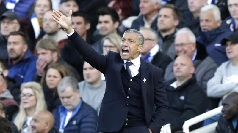 Chris Hughton, Manager of Brighton and Hove Albion