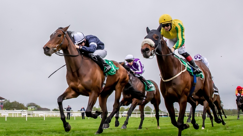 Master Of Reality won by a neck