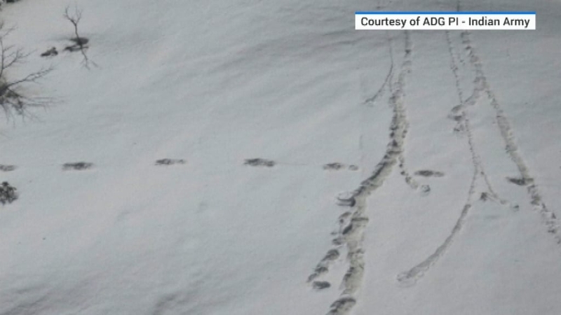 The Indian army said it had sighted the footprints near Mount Makalu in the Himalayas