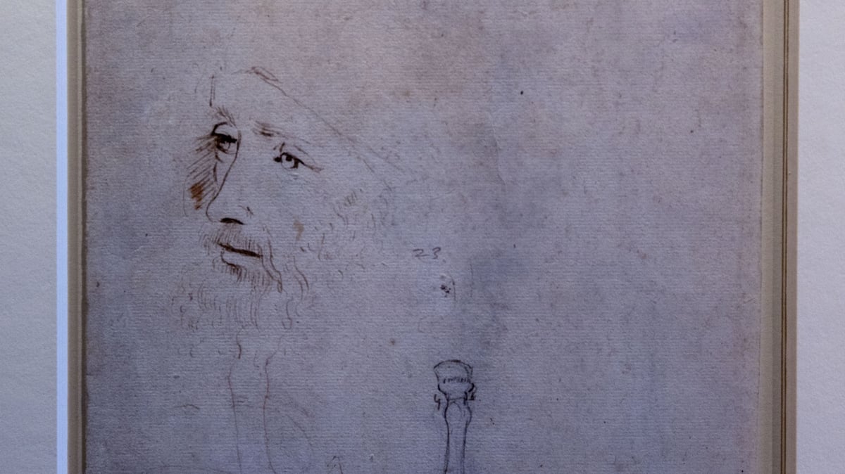 Scientists find Da Vinci’s DNA
