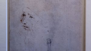 Scientists find Da Vinci’s DNA show image