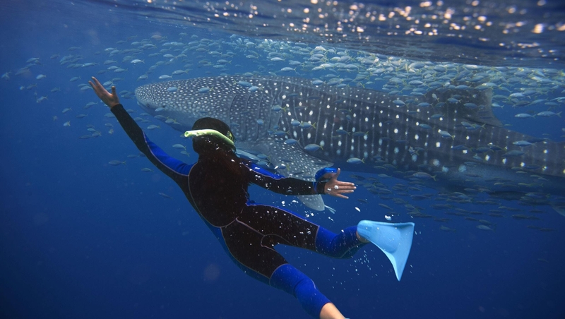 New online hub Australia Inc is a one-stop resource for young people seeking temporary jobs down under.