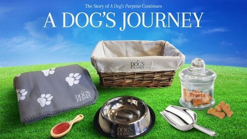 A Dog's Journey is in cinemas from Friday, May 3