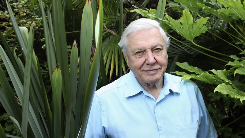 "David Attenborough commands the attention of millions of people and can turn our gaze to the considerable environmental challenges of our time"