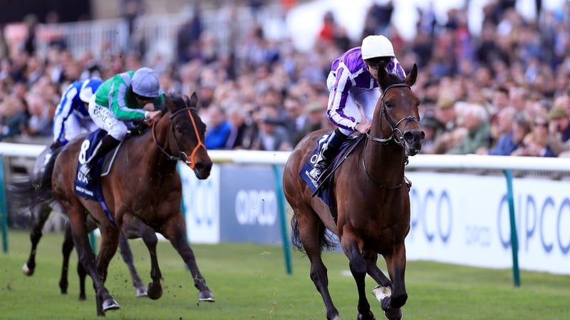 Magna Grecia going on to win the Newmarket Guineas