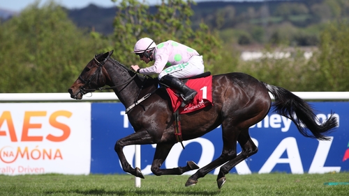 Benie Des Dieux ridden by Paul Townend takes the Annie Power Mares Champion Hurdle