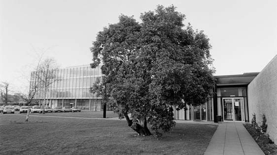 Strawberry Tree (1989)