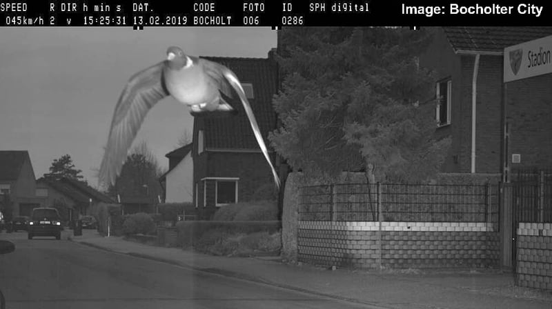 Image: Bocholter City