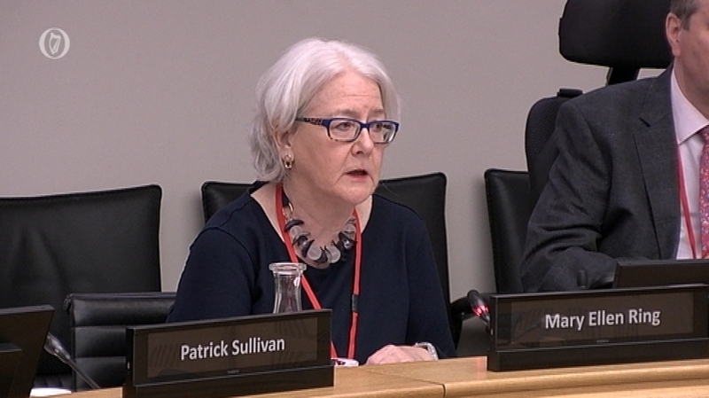 Ms Justice Mary Ellen Ring at the Oireachtas Justice Committee
