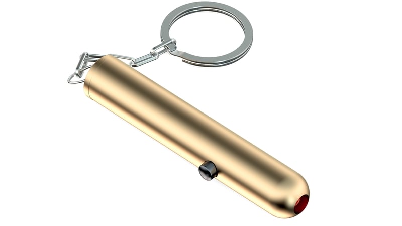 Pests could face charges of being in possession of a dangerous weapon