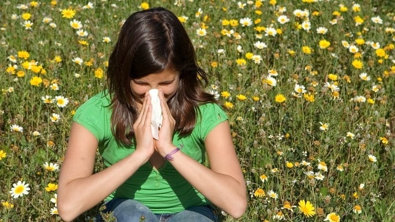 Summertime and the sneezin' is easy. Photo: Mandy Godbehear/ Shutterstock
