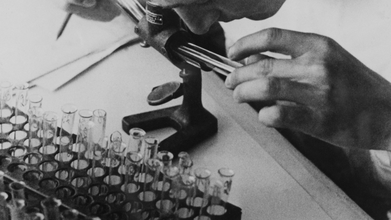 Nazi doctors carried out grotesque human experimentation