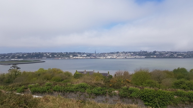 Cork Vista