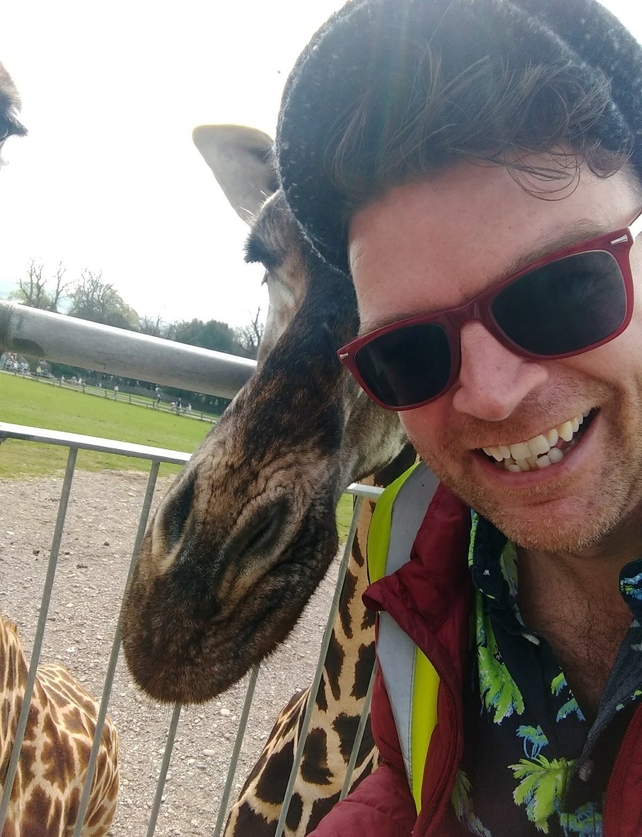 Feeding Giraffes