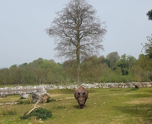 Fota