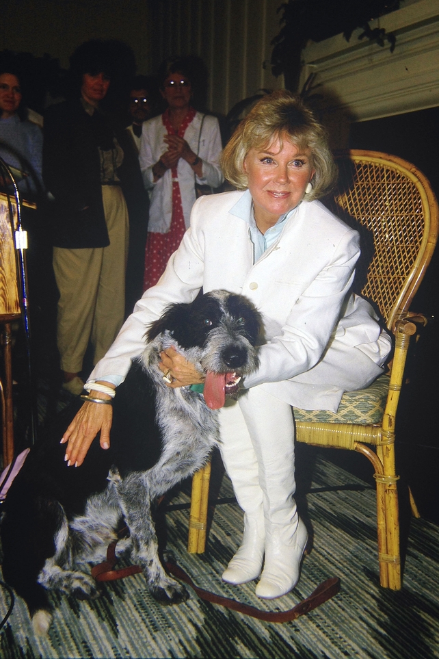 Doris Day pictured in 1985
