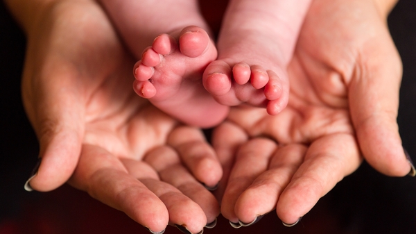 The Parental Leave Bill was put forward in 2017 by the Social Democrats